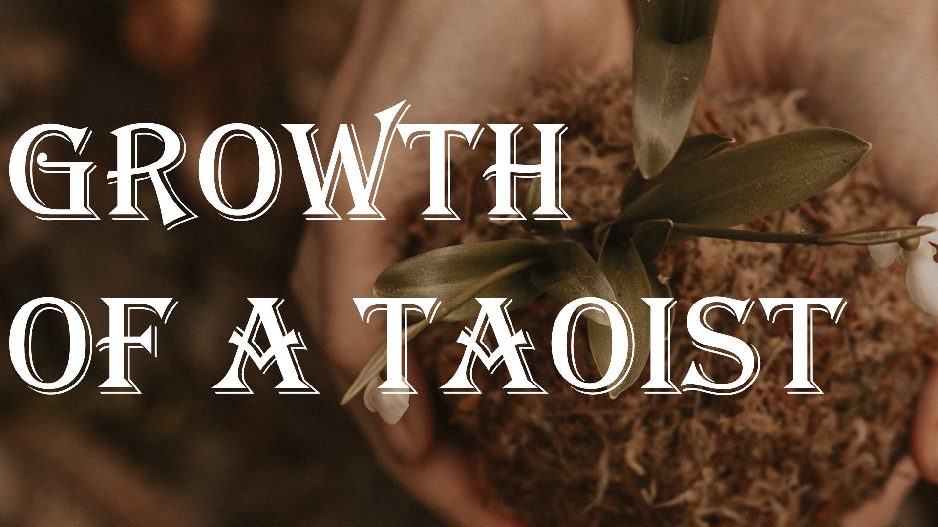 
          Taoist Cultivation 101 – Practice vs Cultivation
        