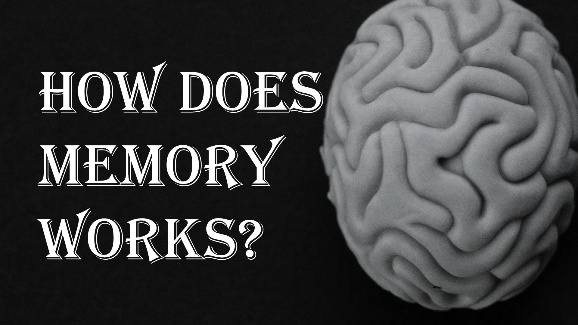 
          Metaphysics Secret of the Memory System
        