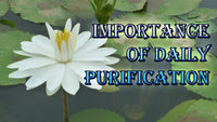 Taoist Pure Energy vs Ordinary