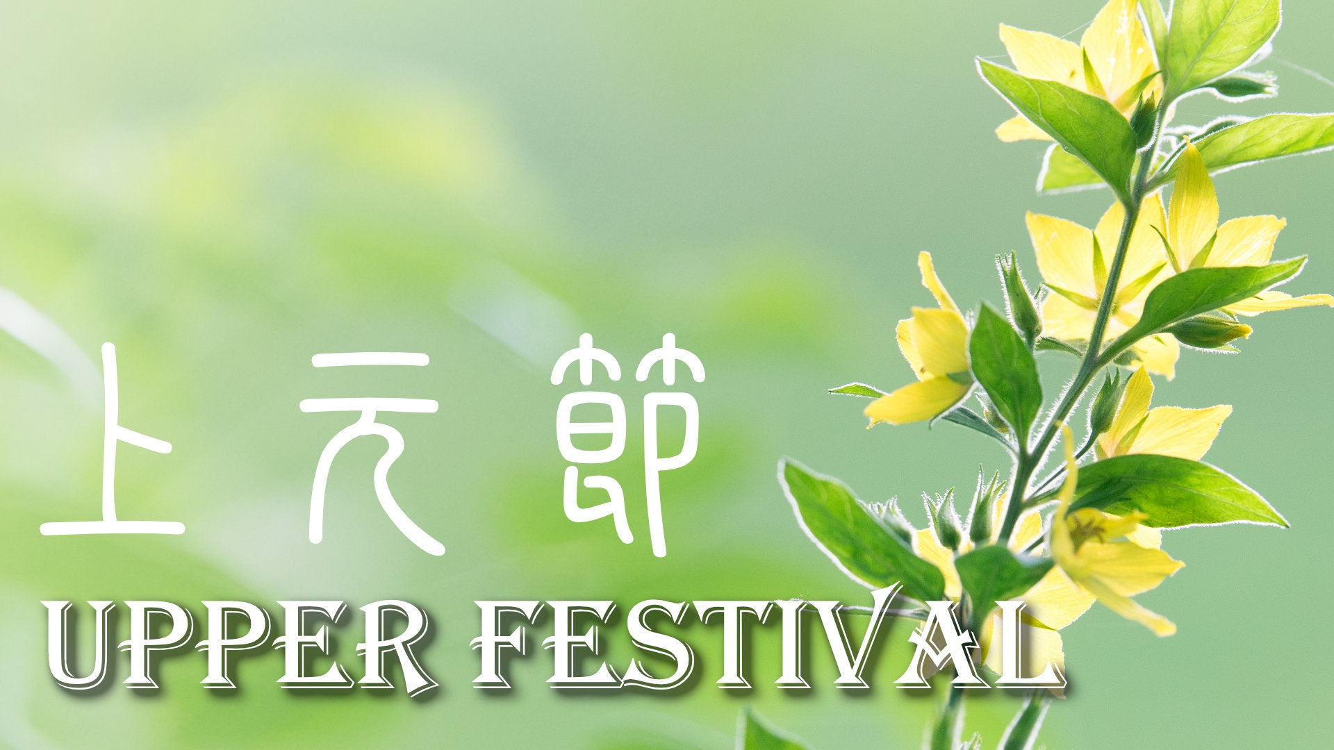 
                  Upper Festival 上元節
                