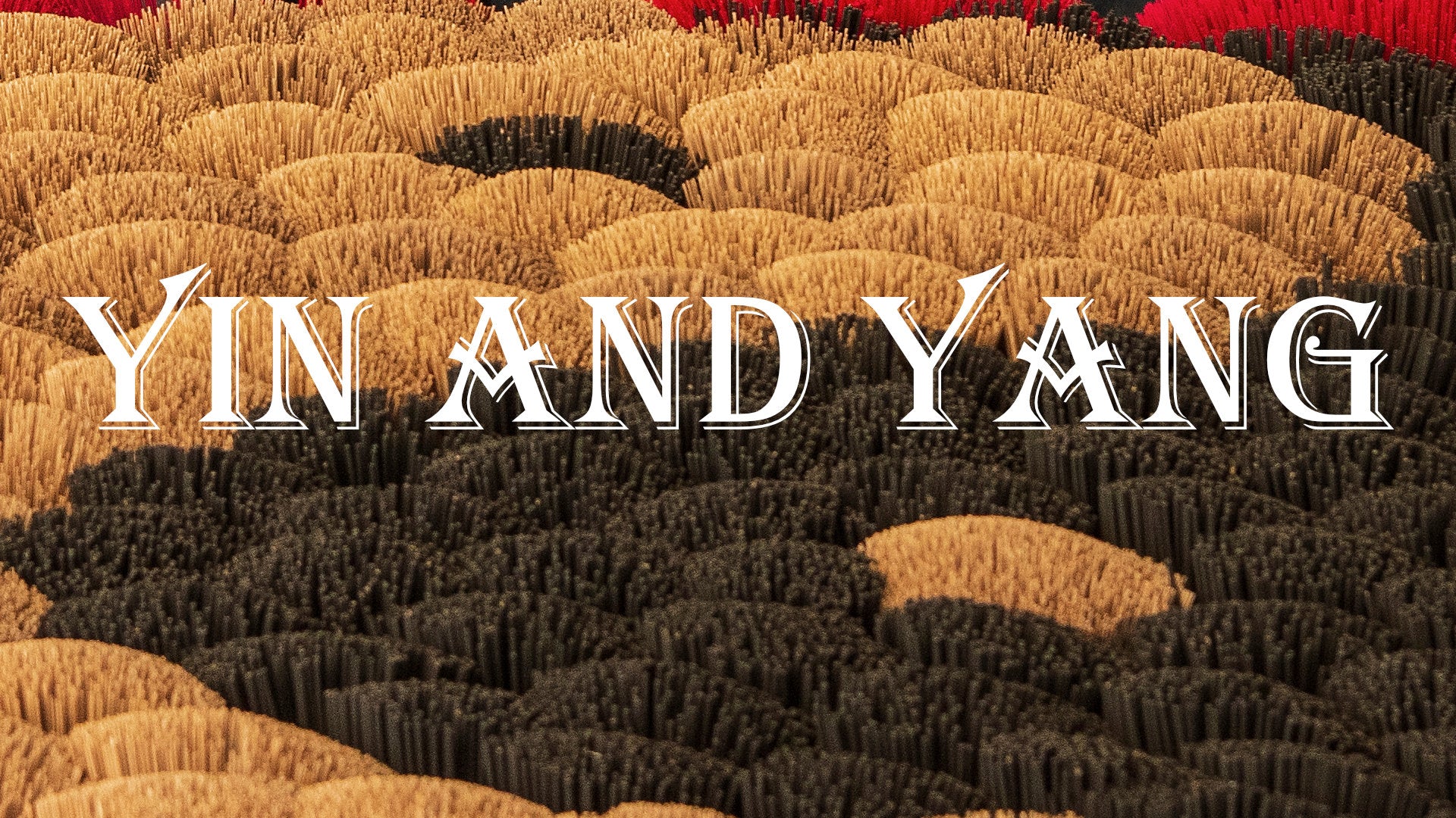 
                  The Best Lesson on Yin Yang
                
